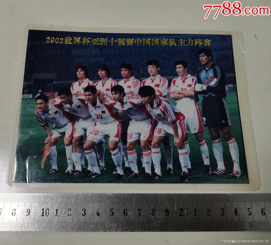 2002年世界杯中国队名单
