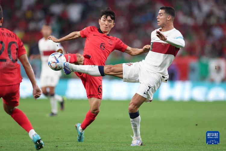 世界杯韩国VS葡萄牙的相关图片